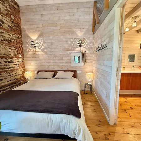 Apartamento Le Duplex De L'artisterie Mondonville