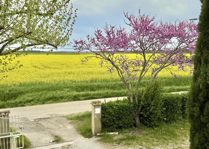 דירה Le Duplex De L'artisterie *